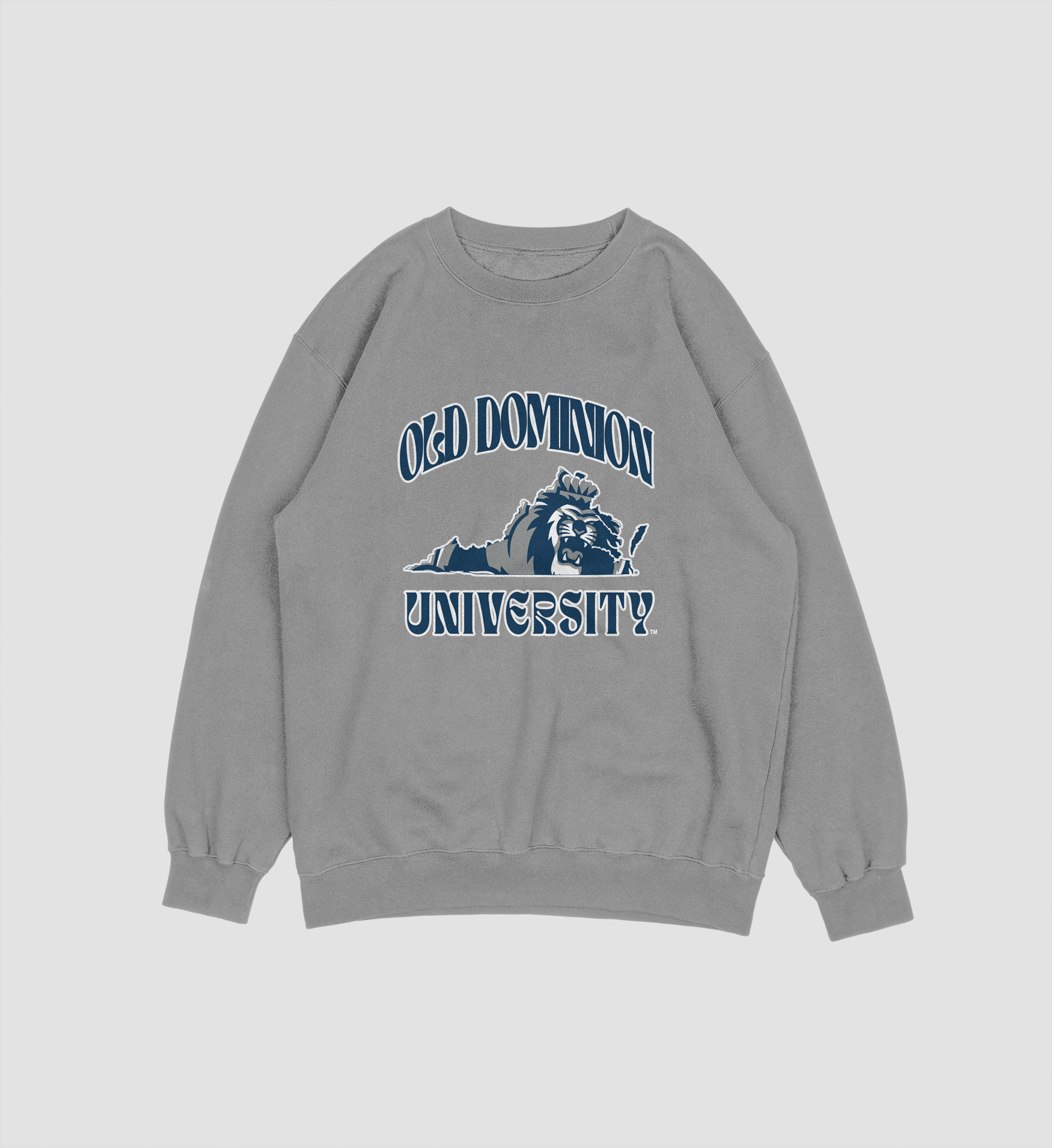 University of Dorchester Vintage cheapest crewneck